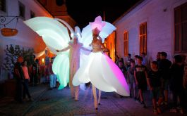 В Воронеже из-за Платоновского фестиваля перекроют центр города